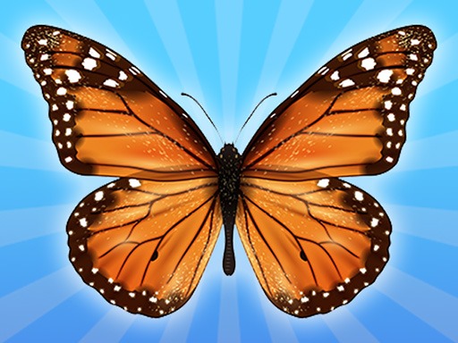 MergeButerfly: 2048!